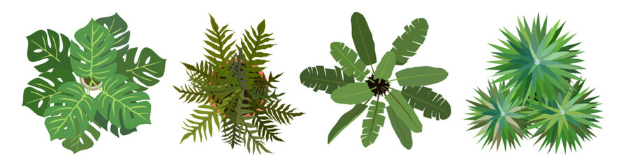 Set of different house plants top view. Monstera, strelitzia, dracaena, green leaves, palms landscape, architectural, interior design elements. Landscaping constructor. Vector illustrations isolated. © Creative_Juice_Art