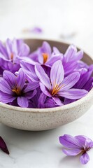 Fototapeta premium Purple Saffron Flowers Bowl