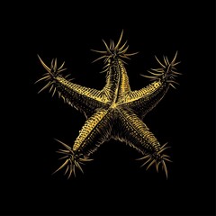 Exotic Sea Star with Spiked Arms Detailed Illustration on Dark Backdrop Five Point Symmetry Display