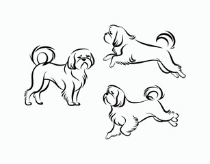 Shih Tzu Dog Silhouette Collection Vector Template Design