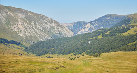 Naklejka premium Caucasian Biosphere Reserve, mountain peaks, fauna of the region. Tourism and outdoor recreation.