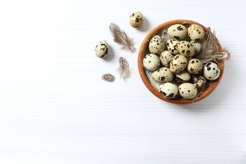 Quail eggs in a plate on light background 