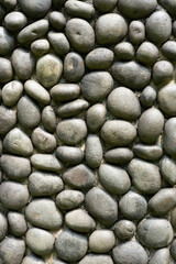 A natural pattern formed by neatly arranged coral stones, creating a textured and organic surface