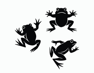 Toad Silhouette Collection Vector Template Illustration