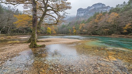 Obraz premium Autumnal River Landscape with Colorful Trees and Clear Water