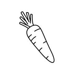 Simple carrot line drawing: A straightforward, monochrome illustration of a carrot, perfect for adding a touch of simplicity to your designs.