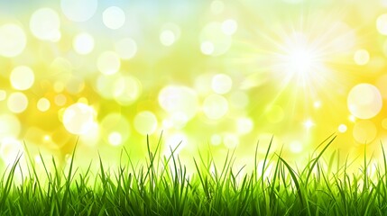 Obraz premium Bright Green Grass Meadow Under Summer Sunshine