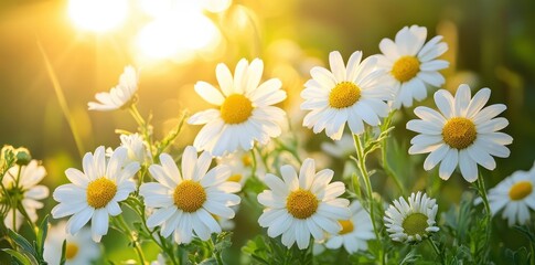 Fototapeta premium A serene backyard scene featuring blooming flowers, capturing the essence of tranquility and nature's beauty.
