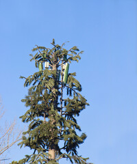 mobile communications mast disguised as a tree