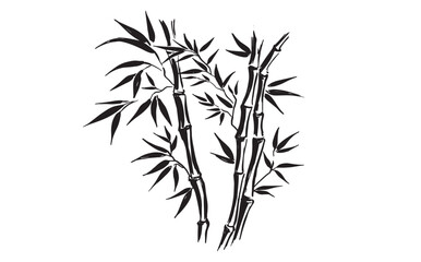 Obraz premium Bamboo tree on white, Hand drawn style.