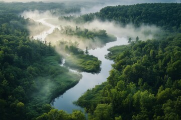 Mist-covered River Winding Through Lush Green Forest in Early Morning Light