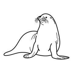 Seal lion basking on sundrenched rock captures serene beauty. Suitable for coastal, wildlife, relaxation, travel, and coloring book for kids