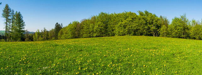 Fototapeta premium early spring and the Czech landscape