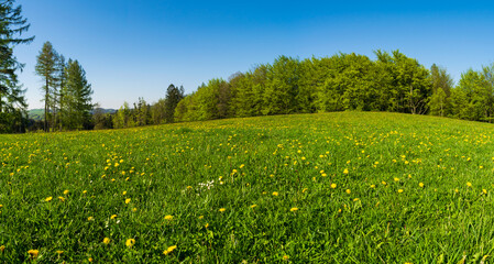 early spring and the Czech landscape
