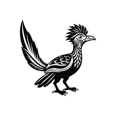 Fototapeta premium a roadrunner bird vector illustration..