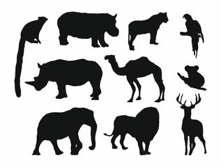 Set of different wild animals black silhouettes set. Rhino, elephant, lion, camel flat vector illustrations isolated on white background
