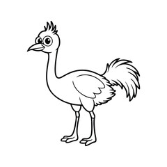 Fototapeta premium a line art illustration of an emu bird.