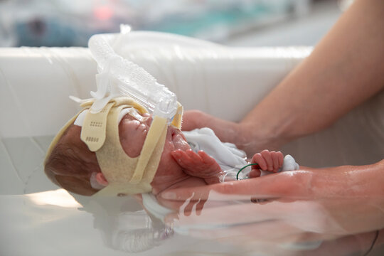 Cropped hands giving bath to premature baby in intensive care unit