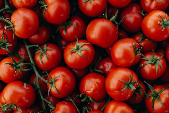 Fresh red tomatoes in close-up view. AI image