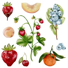 Colorful watercolor illustrations of strawberries and other fruits on a white background