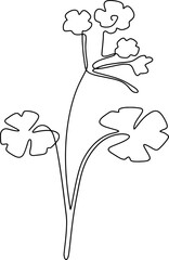 flower floral line art hand drawn one line