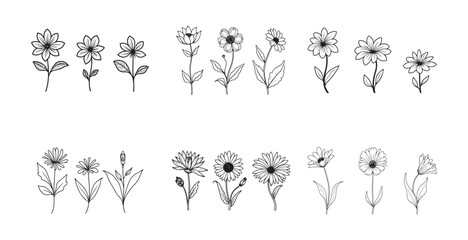 Wild Flower Outline Drawing Coloring Page for Kids and Adults