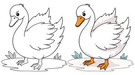 Swans Duck Isolated Line Art Vector Outline Illustration Black and White with Coloring Sample