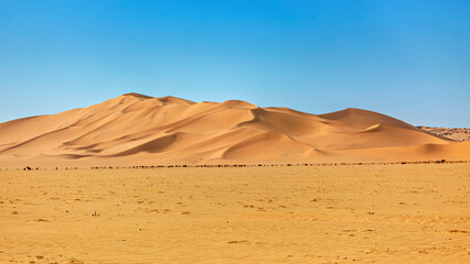 The desert landscape of the Sahara in Algeria