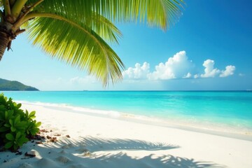 Obraz premium Crisp coconut leaf shadow on pristine beach, hazy ocean backdrop, leaf, summer