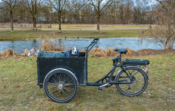 Two dogs at bicycle coach in the English Garden in Munich.