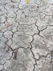 Cracked soil