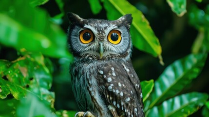 Obraz premium Majestic owl in lush tropical forest wildlife photography nature exploration close-up perspective intriguing bird behavior