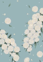 コデマリのイラスト