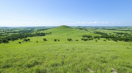Fototapeta premium Expansive grassy hilltop landscape under clear sky. Possible use Stock photo for nature, travel, or environmental themes