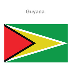 Guyana flag. Vector illustration of the national flag