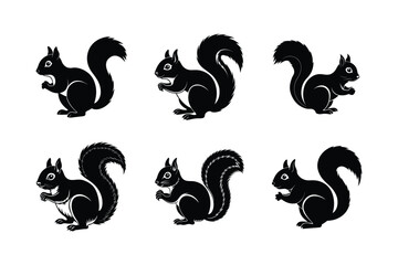 Set of Squirrel silhouette vector illustration