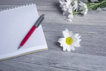 the chamomile pen and notebook