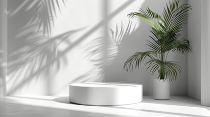 Fototapeta premium Minimal white room, cylinder podium, subtle palm leaf shadows, abstract product display setup