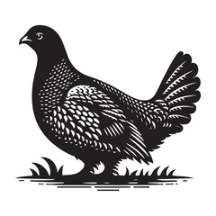 Grouse Bird Silhouette Vector Illustration, Solid White Background.