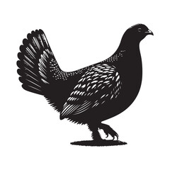Grouse Bird Silhouette Vector Illustration, Solid White Background.