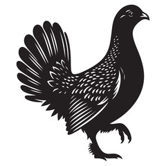 Grouse Bird Silhouette Vector Illustration, Solid White Background.