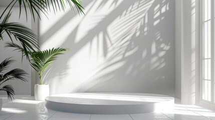 Fototapeta premium Minimal white room, cylinder podium, subtle palm leaf shadows, abstract product display setup