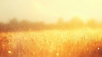 Golden wheat field glistening in sunlight, creating a dreamy, serene atmosphere filled with soft bokeh and rich colors.