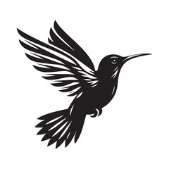 Humming bird Silhouette Vector Illustration, Solid White Background.