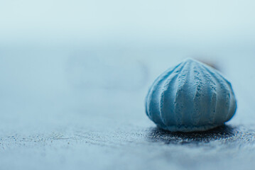 Single Blue Meringue on Dark Surface