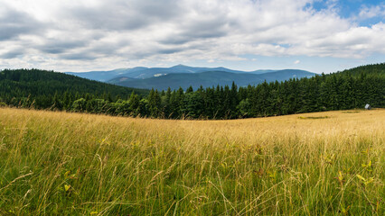 Naklejka premium Panorama of Krkonoše mountains during the summer