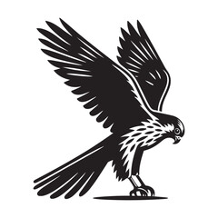 Kestrel bird Silhouette Vector Illustration, Solid White Background.