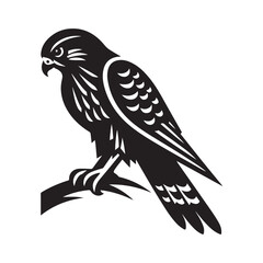 Kestrel bird Silhouette Vector Illustration, Solid White Background.