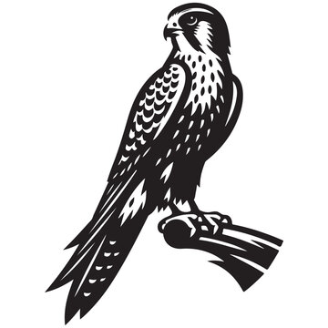 recommend clip art: Kestrel bird Silhouette Vector Illustration, Solid White Background.