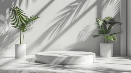 Fototapeta premium Minimal white room, cylinder podium, subtle palm leaf shadows, abstract product display setup